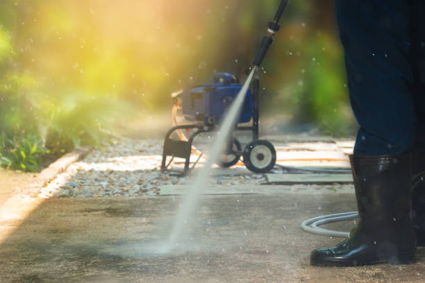 Best Driveway Pressure Washing  in Westland, MI